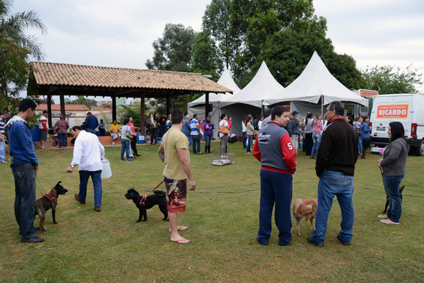 2015-08-25-mutiro-promove-a-castraco-de-ces-e-gatos-ft-zaqueu-proenca-066-1