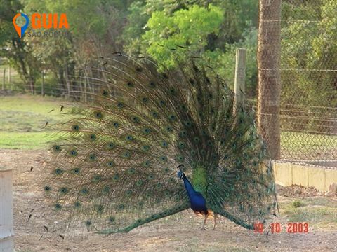 STIO, VENDA, BOSQUE DOS EUCALIPTOS - ARAOIABA DA SERRA/SP