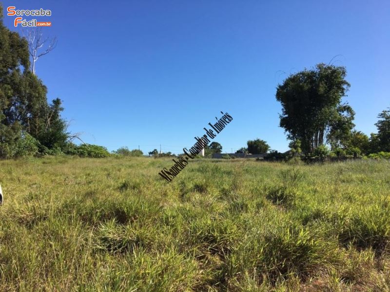 rea para alugar em Piedade.